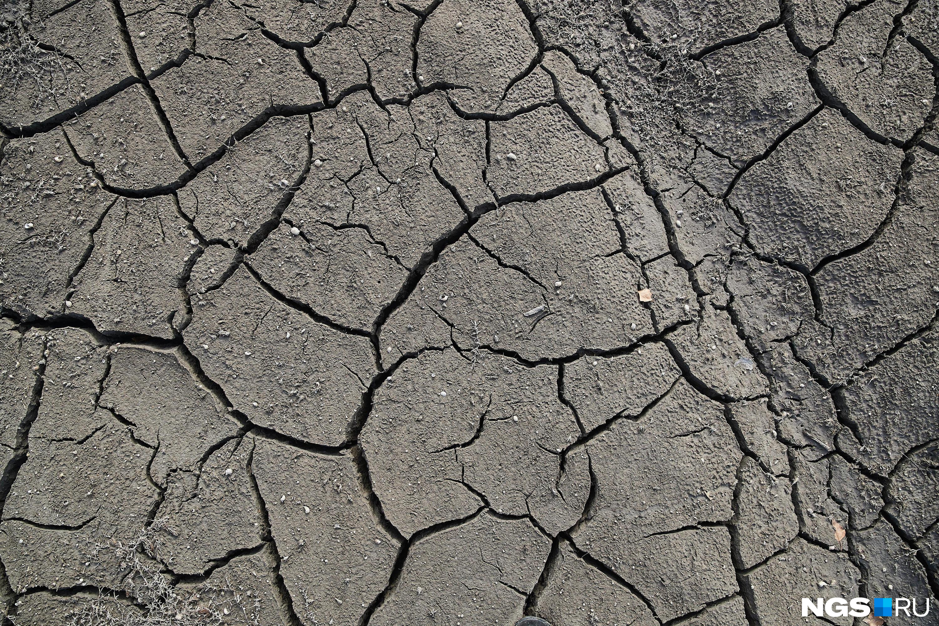 Засуха в Забайкалье угрожает урожаю