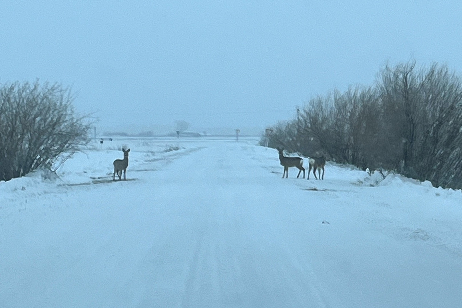 Вчера сегодня было завтра. Не упусти свою возможность. Завтра сегодня станет вчера. Когда послезавтрашний день станет вчерашним. Еще вчера сегодня было завтра.