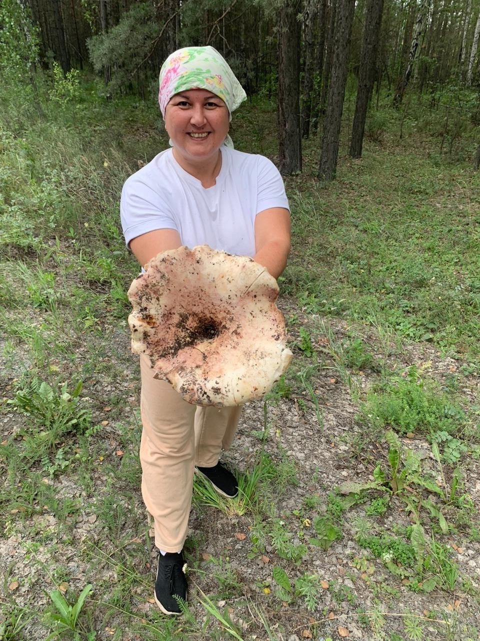 Екатеринбурженка нашла громадные грибы, которые можно есть. И рассказала где!
