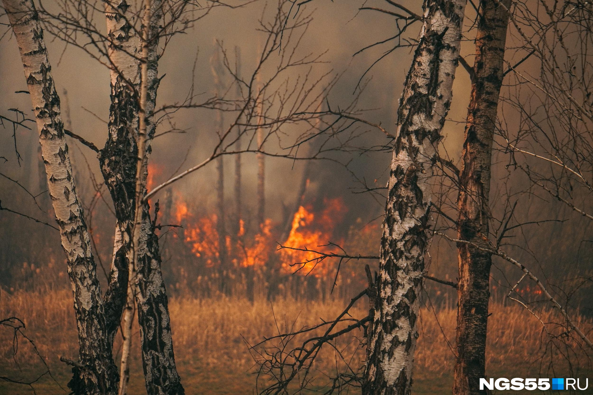 Число лесных пожаров в Забайкалье больше, чем в остальных регионов ДФО