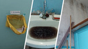 Газетка вместо бумаги и черный застой в раковине: северяне возмущены туалетом детской поликлиники