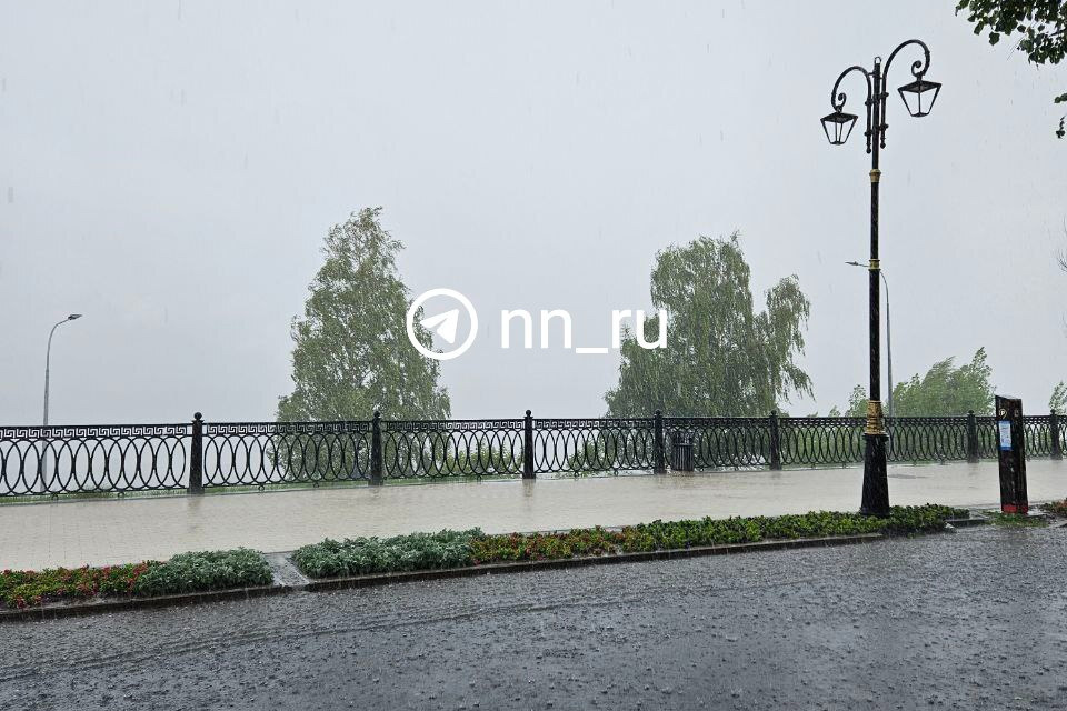 МЧС предупредило о сильных дождях. Непогода накроет Нижний Новгород в ближайшие часы