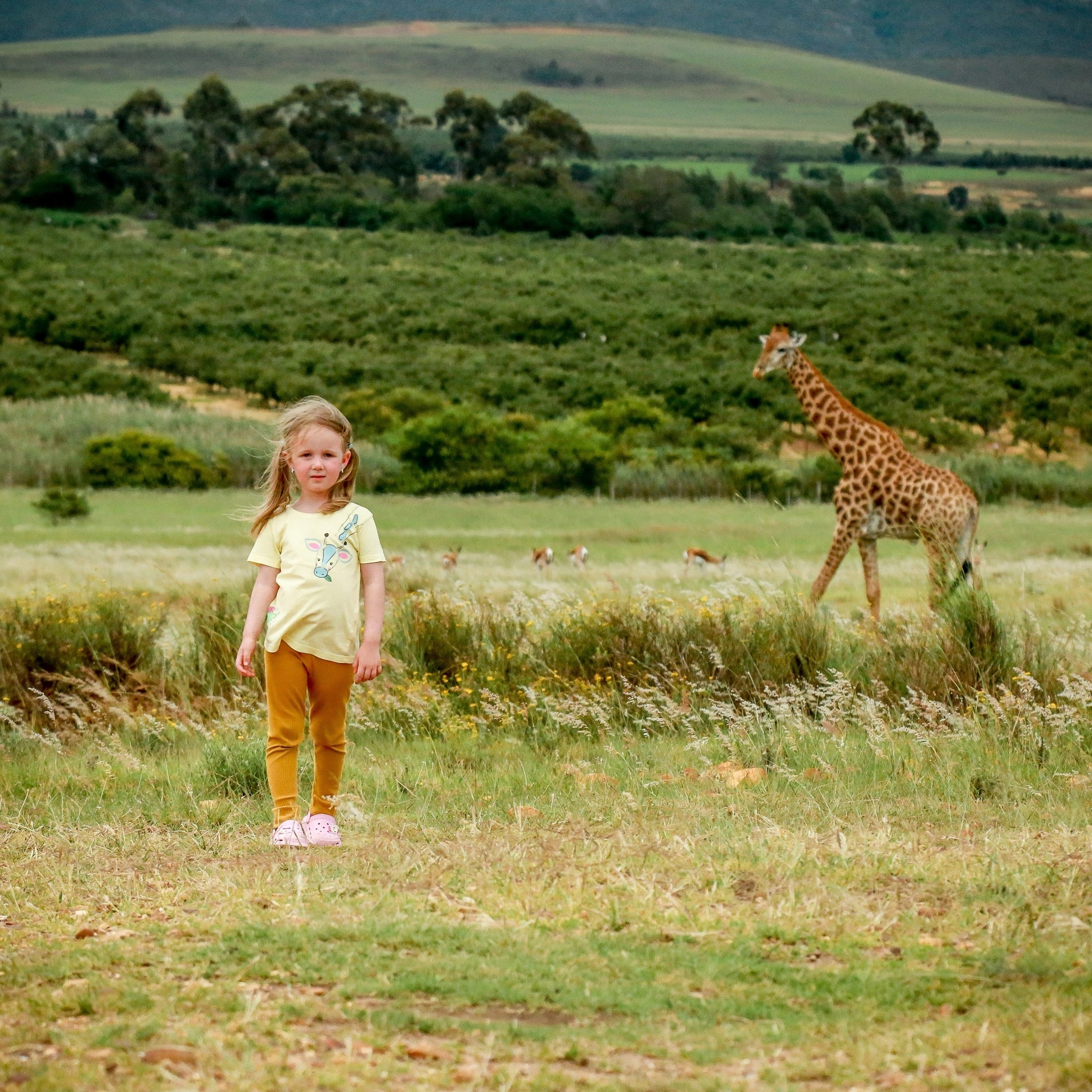 Алиса и жираф