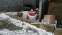 300 тысяч рублей на мусорке. Несколько тазов красной икры выбросили на помойку в центре Владивостока