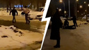 Появилось видео массовой новогодней драки в Самарской области