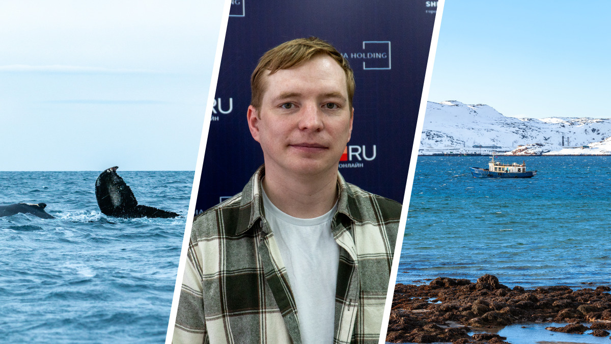 «Рядом с тобой выныривает махина»: фотограф рассказал, как и где встретить китов на Севере