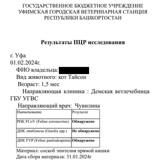 Первые анализы — имя животного записано мужским, потому что на тот момент никто не знал, что это девочка