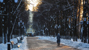 Морозец в воздухе, Новый год — в душе: чем живет Ярославль в преддверии главного праздника зимы