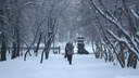 До -5 градусов и снегопад: в Новосибирске ждут потепления на выходных
