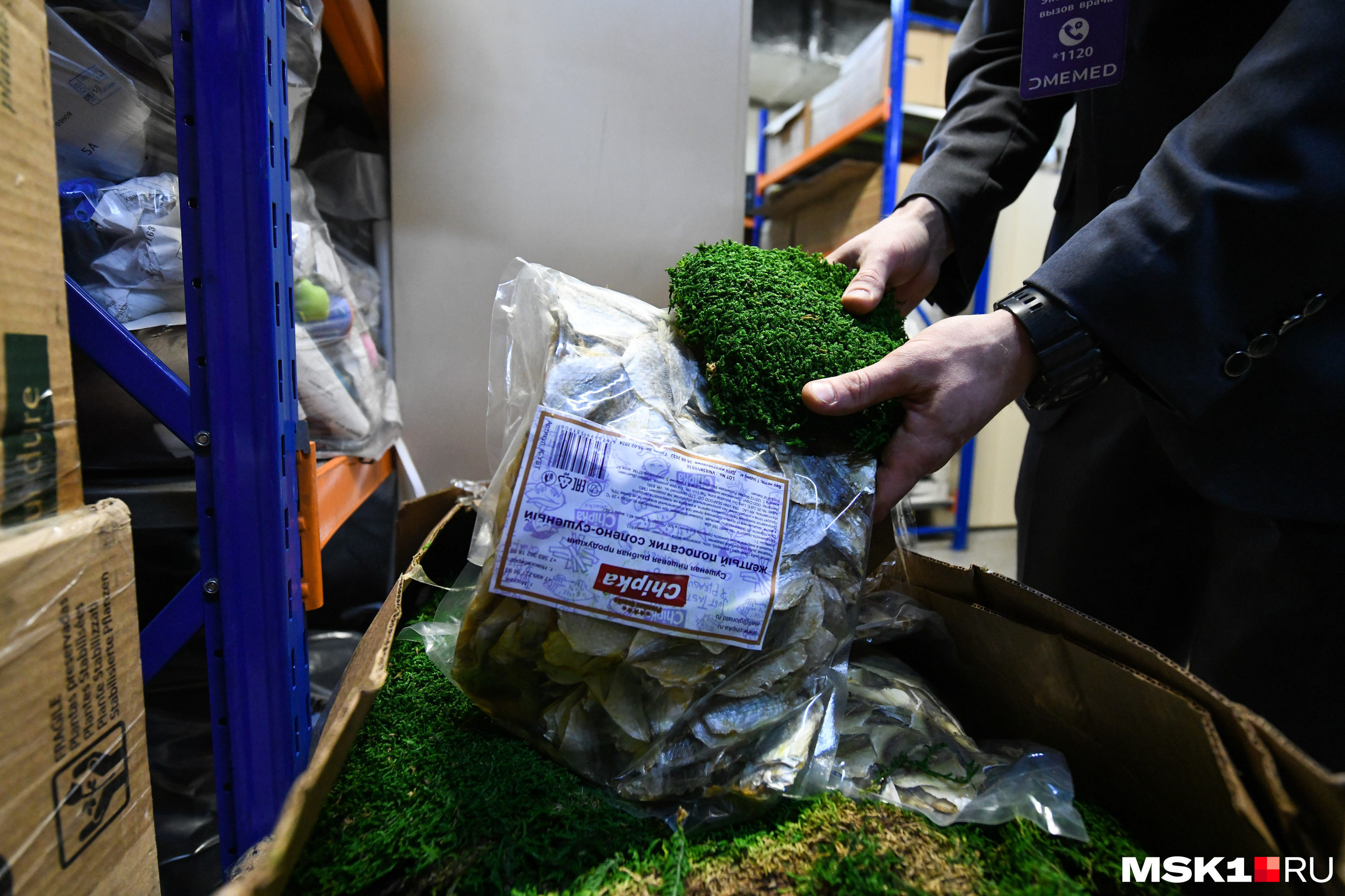 домодедово багаж. забыл вещи в домодедово. багаж в египет. забытые вещи в гостинице. забыл вещи в домодедово.