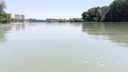 Подросток пропал на реке Кубань. Его ищут второй день