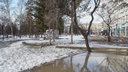 Выглянет солнце и закончится снег: когда в Новосибирске потеплеет — прогноз от синоптиков на три дня