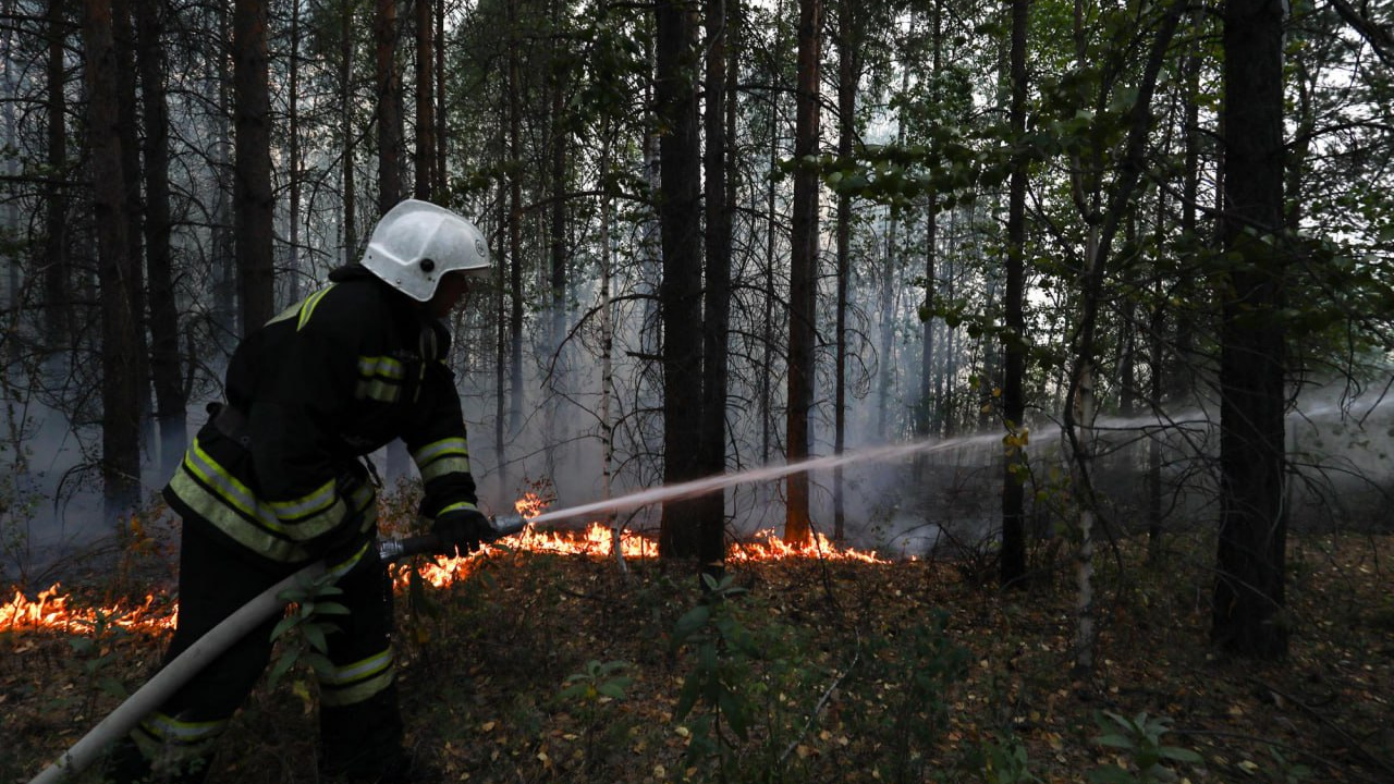 Чрезвычайный уровень пожароопасности введен в четырех округах на Ставрополье