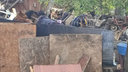«Бабуля в одиночку всех уделала»: пенсионерка в Новокуйбышевске завалила свой участок мусором и развела десятки собак