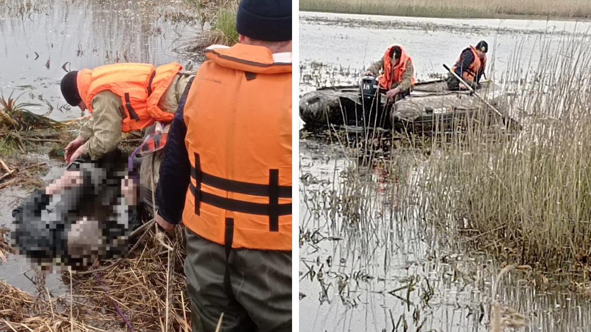 Тело запуталось в сетях: в Новосибирской области утонули два рыбака — поиски одного из них продолжаются