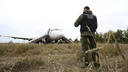 Пассажирам самолета, севшего в новосибирскую пшеницу, начали отправлять по 100 тысяч рублей