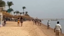 На курорте в Египте трехметровая акула атаковала девушку. Хищника пока не поймали