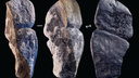 Новосибирские ученые нашли артефакт в форме фаллоса — как его использовали в древности
