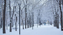 Снег с дождем и потепление до +4 градусов: какая погода ждет новосибирцев на следующей неделе