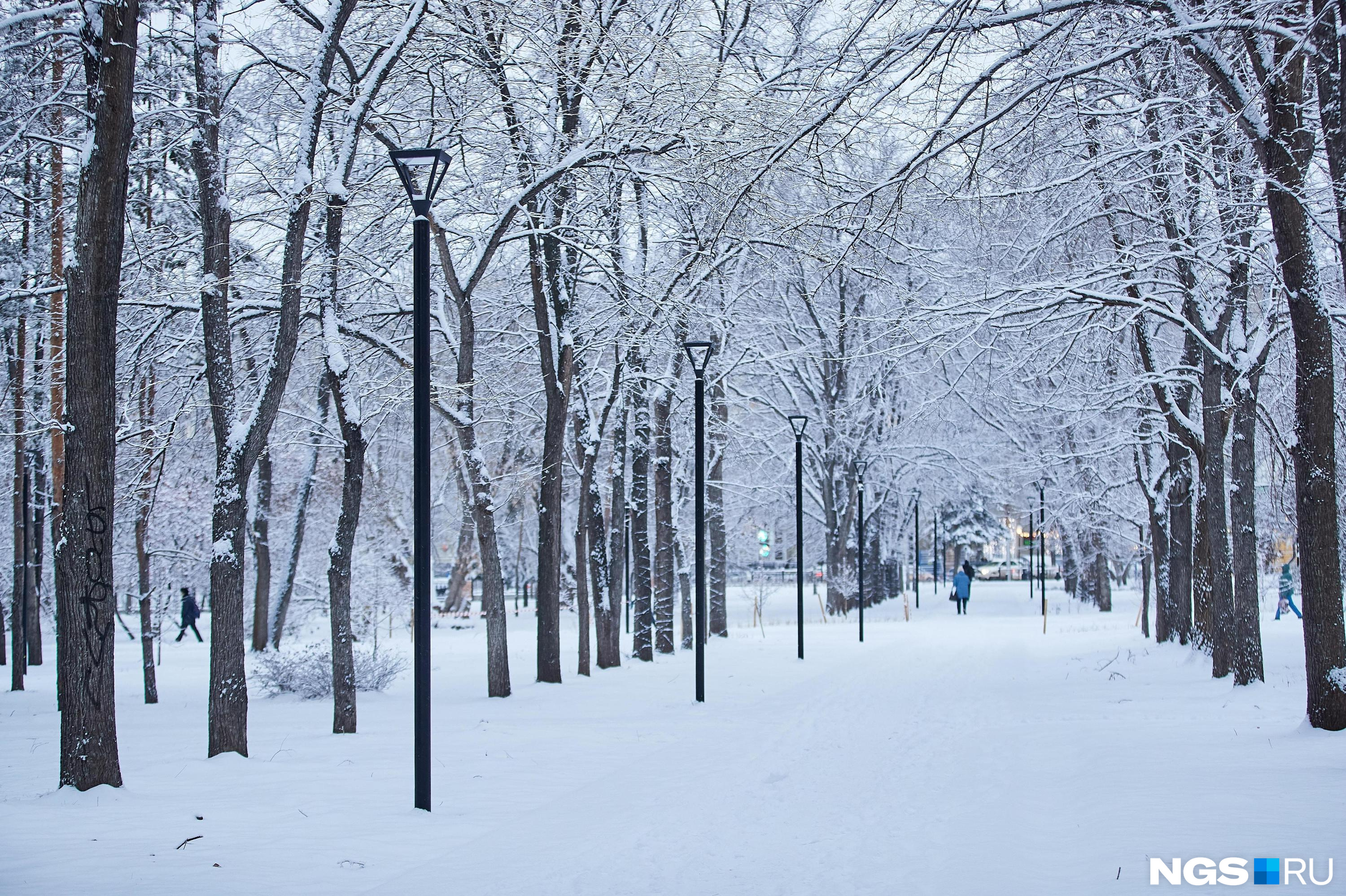 Побит рекорд 1949 года: синоптики посчитали, сколько снега выпало на выходных в Новосибирской области