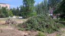 Горы дров: в сквере на Cтара-Загоре срубили десятки деревьев