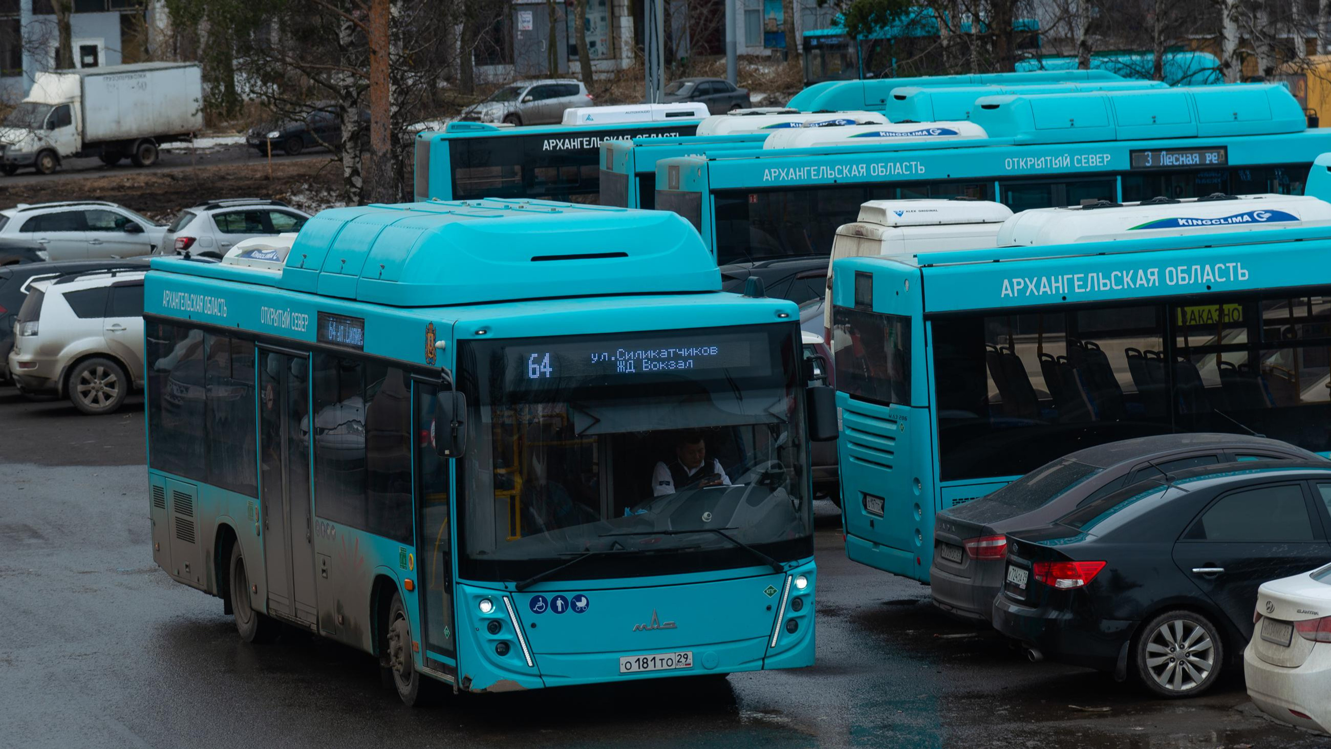 «Должны заводиться в любой мороз»: глава Архангельска рассказал, как готовят автобусы к холодам