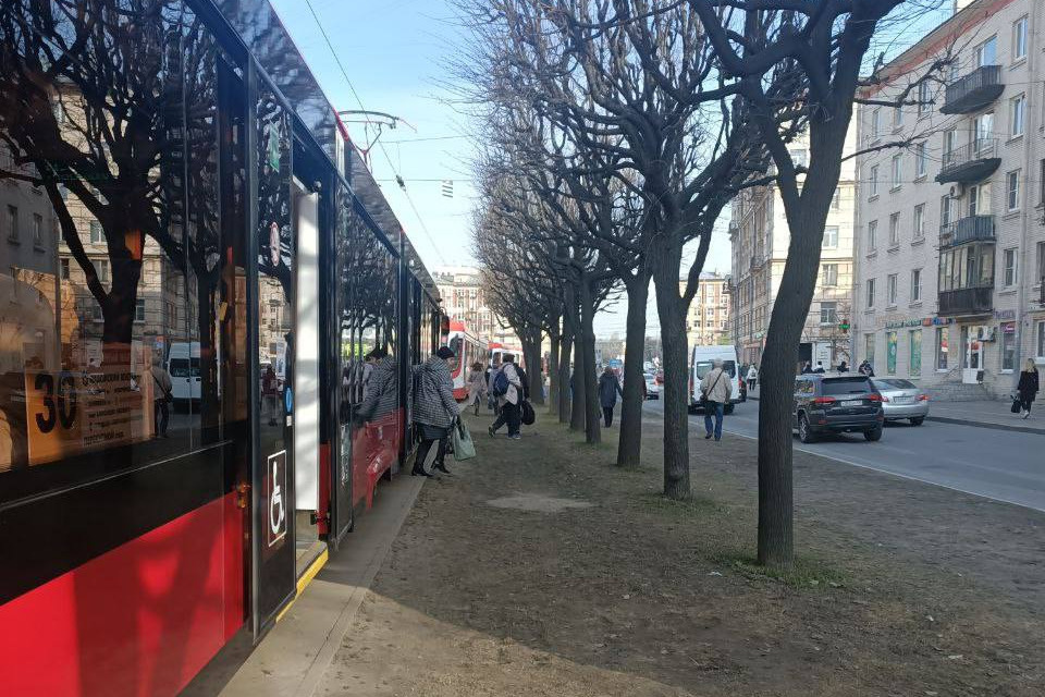 Трамваи на Новочеркасском проспекте встали из-за ДТП