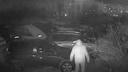 Новосибирец не смог дозвониться в домофон и напал на припаркованные автомобили