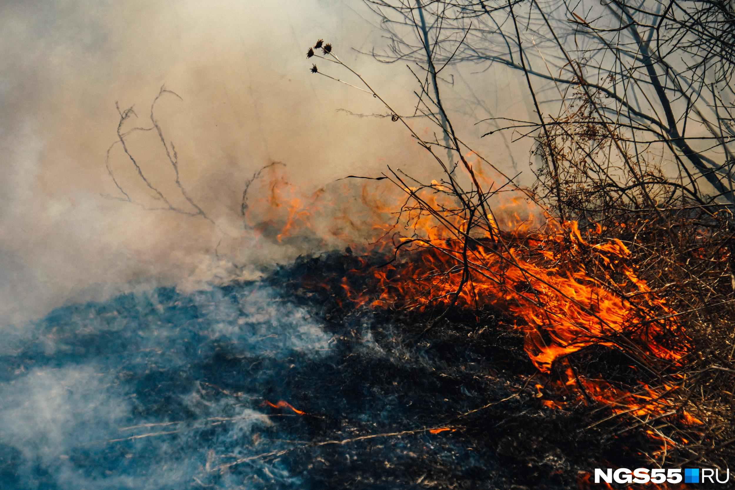 Лесной пожар разгорелся у федеральной трассы Чита — Забайкальск