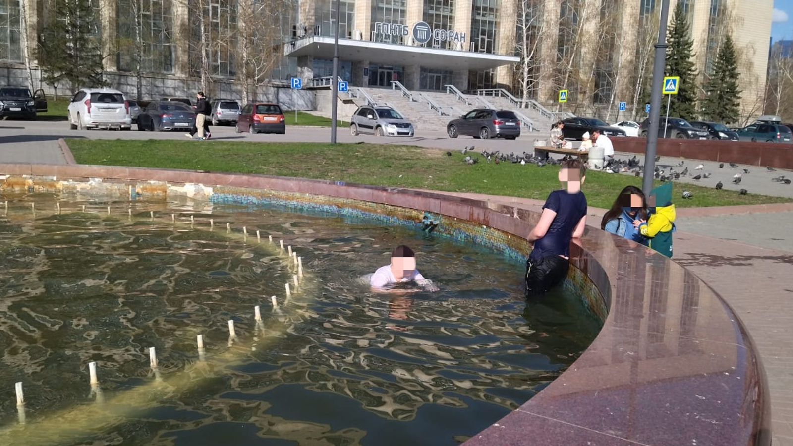 Новосибирские школьники открыли купальный сезон — видео с заплывом в фонтане