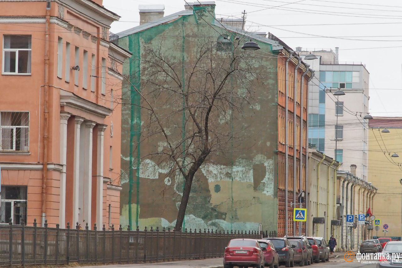 Дом-памятник в Петербурге затянули зеленой сеткой, как живется в таких  домах и почему в Петербурге их все больше - 13 апреля 2023 - ФОНТАНКА.ру