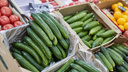 «Запах лета»: узнали, где саратовцам покупать овощи и фрукты в июне