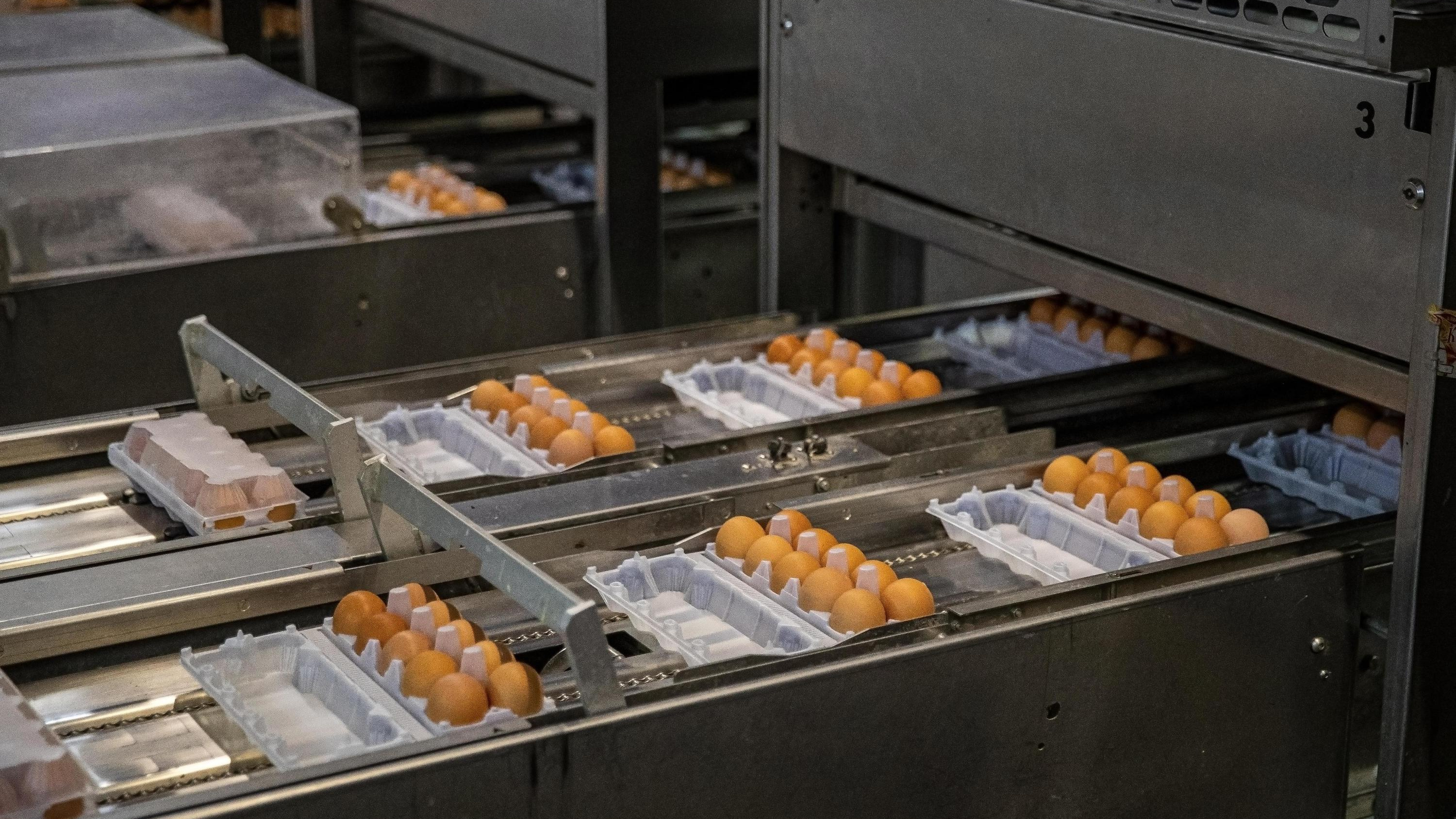Яйца в Кузбассе подешевели за две недели почти на <nobr class="_">60 рублей.</nobr> Вы заметили это?
