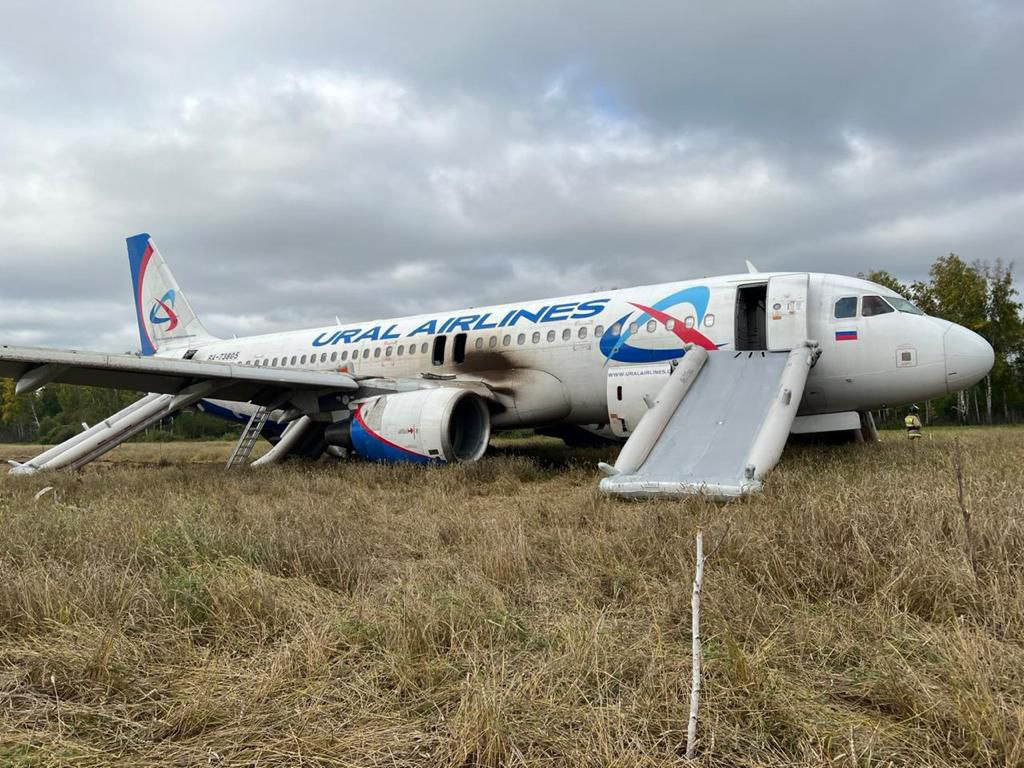 Гендиректор «Уральских авиалиний» назвал причину экстренной посадки Airbus A320 в пшеничном поле