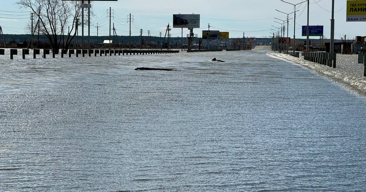В кургане затопило урановое месторождение. В кургане затопило урановое месторождение. В кургане затопило урановое месторождение. В кургане затопило урановое месторождение. Курганское месторождение урана.