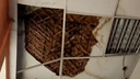 В Уфе в школьной столовой обрушился потолок — видео
