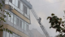 «Скорее всего, они уже погибли»: в Волгограде в сгоревшей дотла квартире остались собака с кошкой