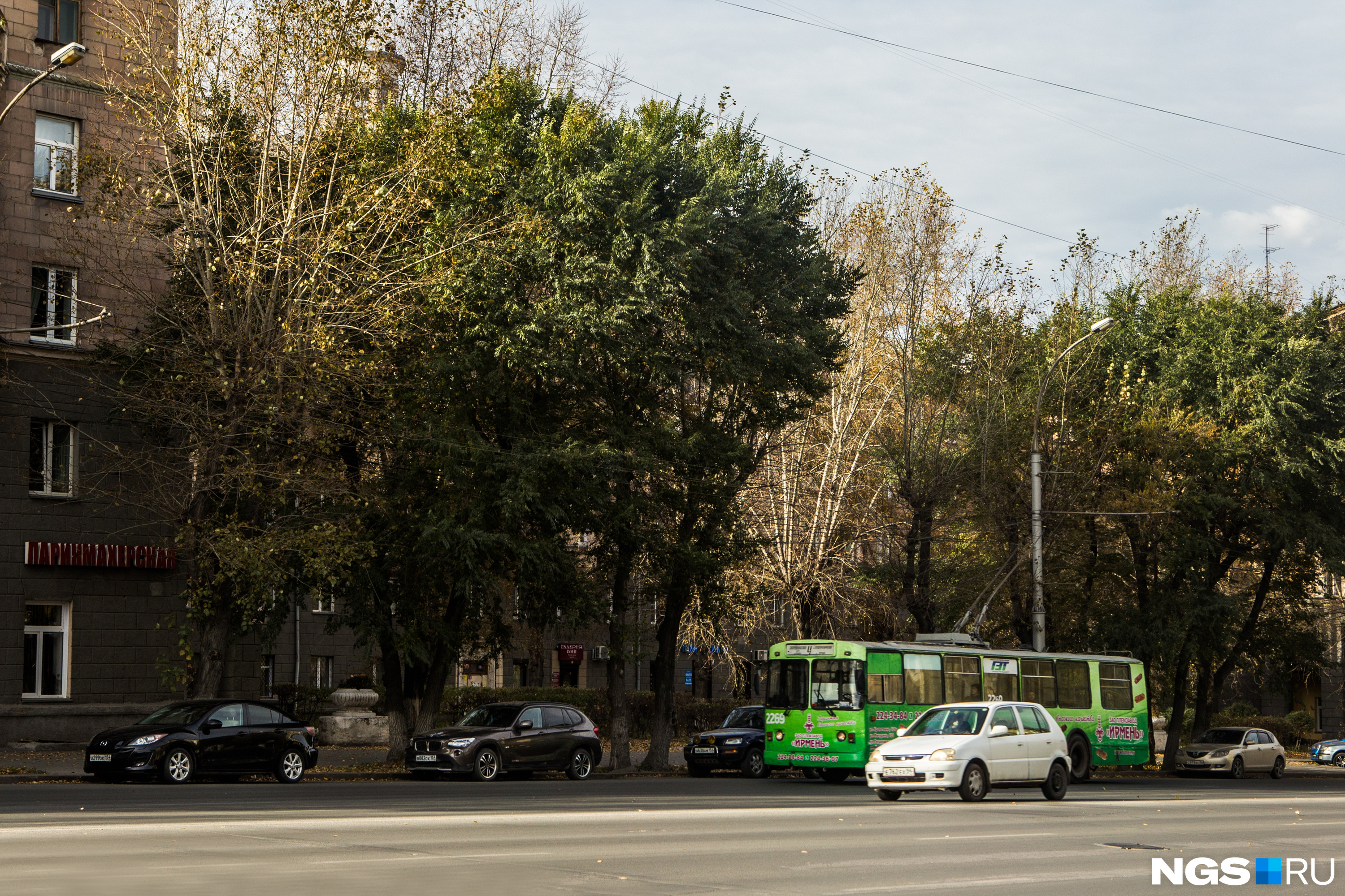 Как ездить бесплатно в общественном транспорте в Новосибирске — показываем в одной картинке все скидки