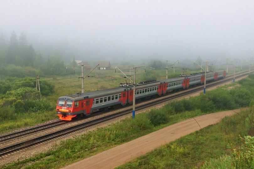 Грозят не только автомобилям. В Ленобласти лось остановил электричку