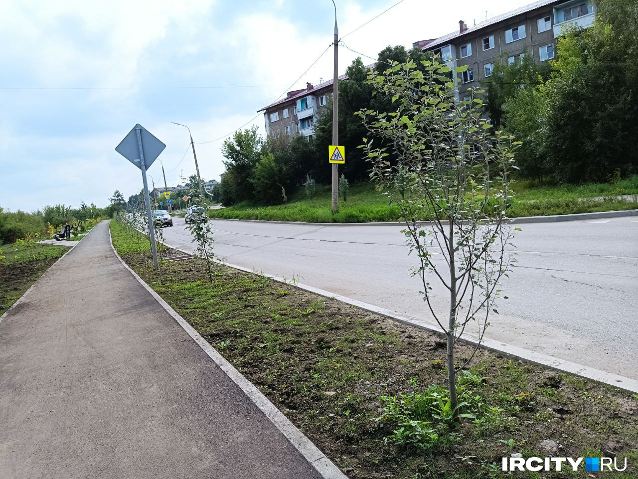 Высаженные деревья: тут должны были появиться серебристые тополя от 1,5 до 2 метров и липы — до 1,5 метра Высаженные деревья: тут должны были появиться серебристые тополя от 1,5 до 2 метров и липы — до 1,5 метра