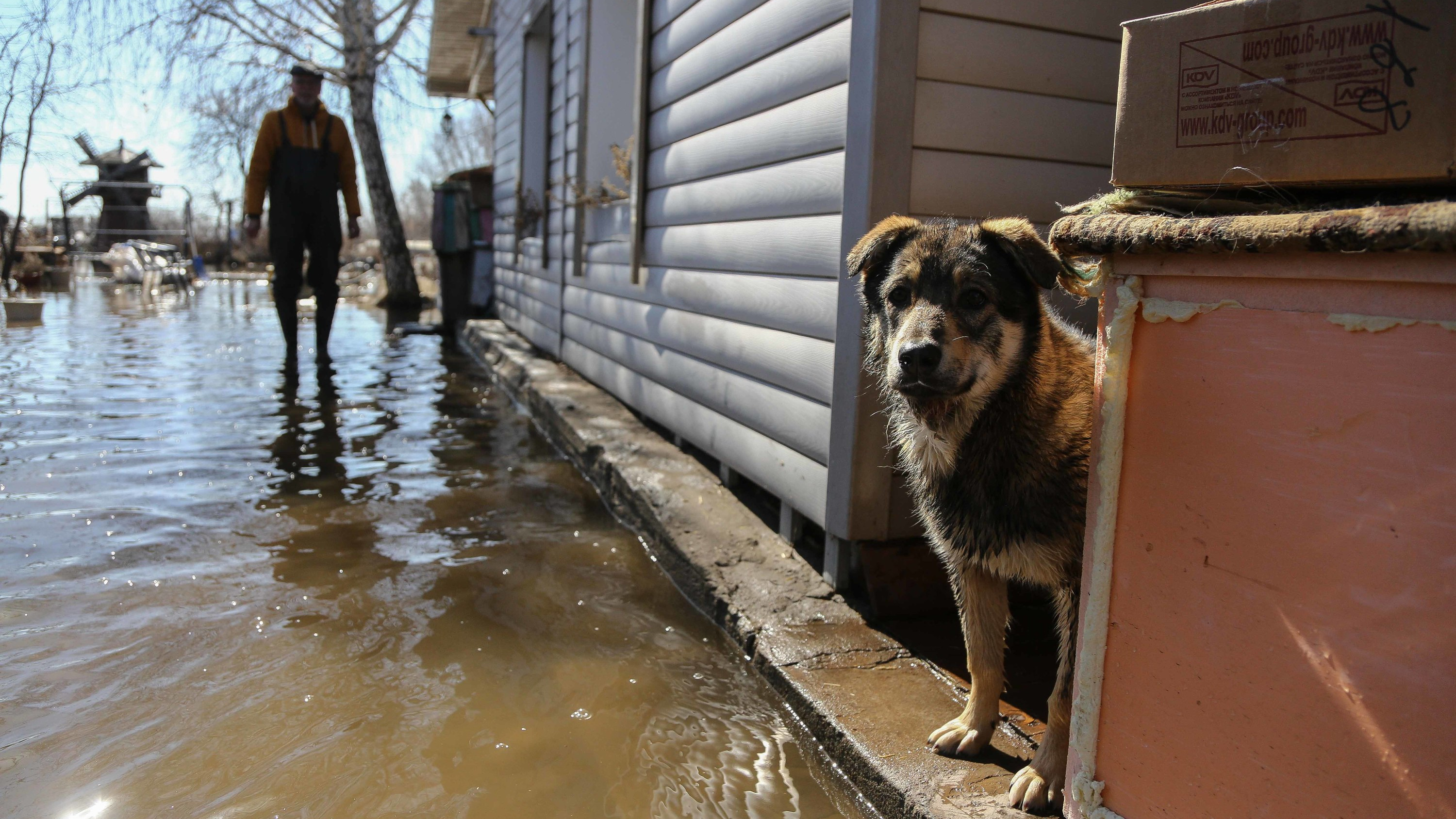 Въезд только на лодках: фоторепортаж из омского села, которое утопает в воде