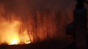 Крупный лесной пожар вспыхнул в Новосибирской области: танец огня попал на видео
