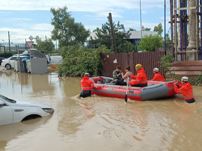 Вода захватила Сочи: на берегу Черного моря люди спасают от стихии дельфинов и себя самих