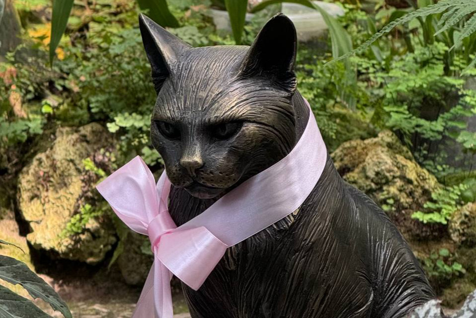 В Ботаническом саду установили памятник кошке Мусе — хранительнице джунглей