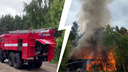 «Сейчас и лес сгорит!»: в Заволжском районе Ярославля случился пожар. Видео