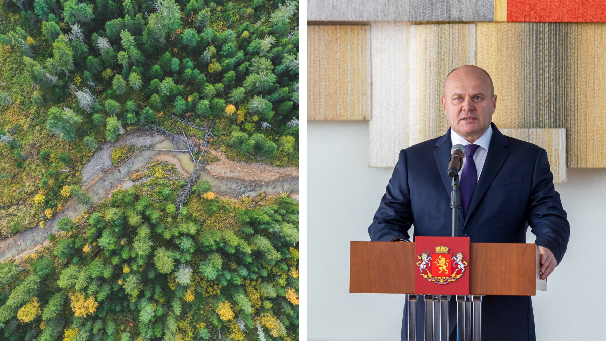 «И то не крупномерных»: мэр рассказал, сколько саженцев хотели высадить по программе «Миллионному городу — миллион деревьев»