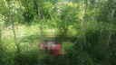Закопал тело в коченевском лесу: как наказали обманутого покупателя, который убил продавщицу машины