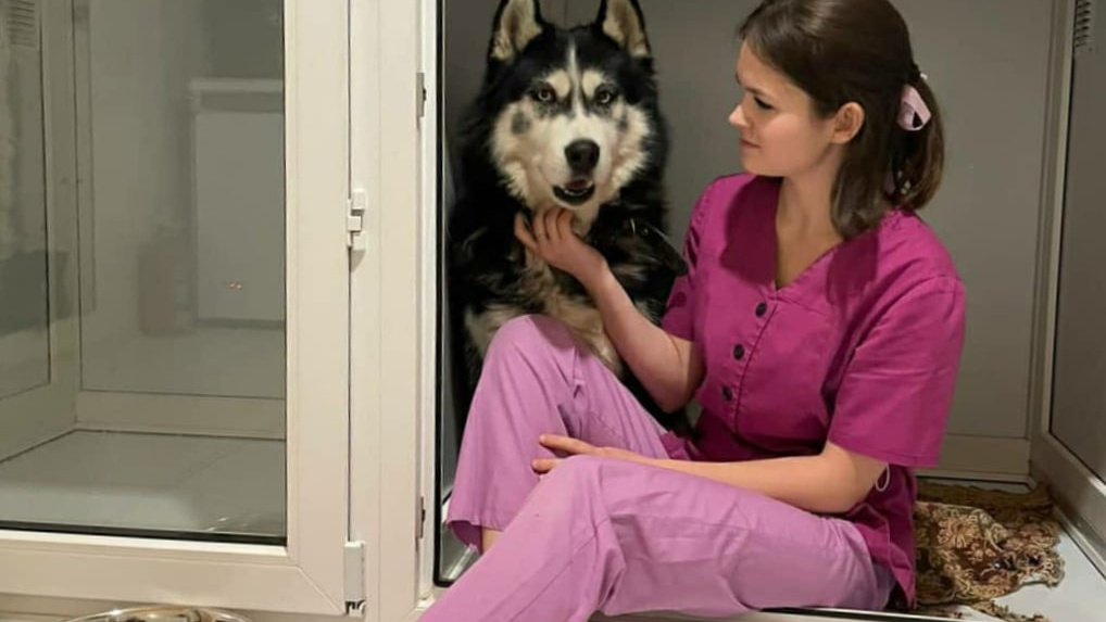 «Мы с врачом часа два плакали»: истории из ветеринарной клиники Челябинска (осторожно, не для слабонервных)