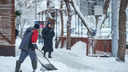 «Высота снега уже 7 сантиметров»: синоптики сообщили, когда прекратится снегопад в Новосибирске