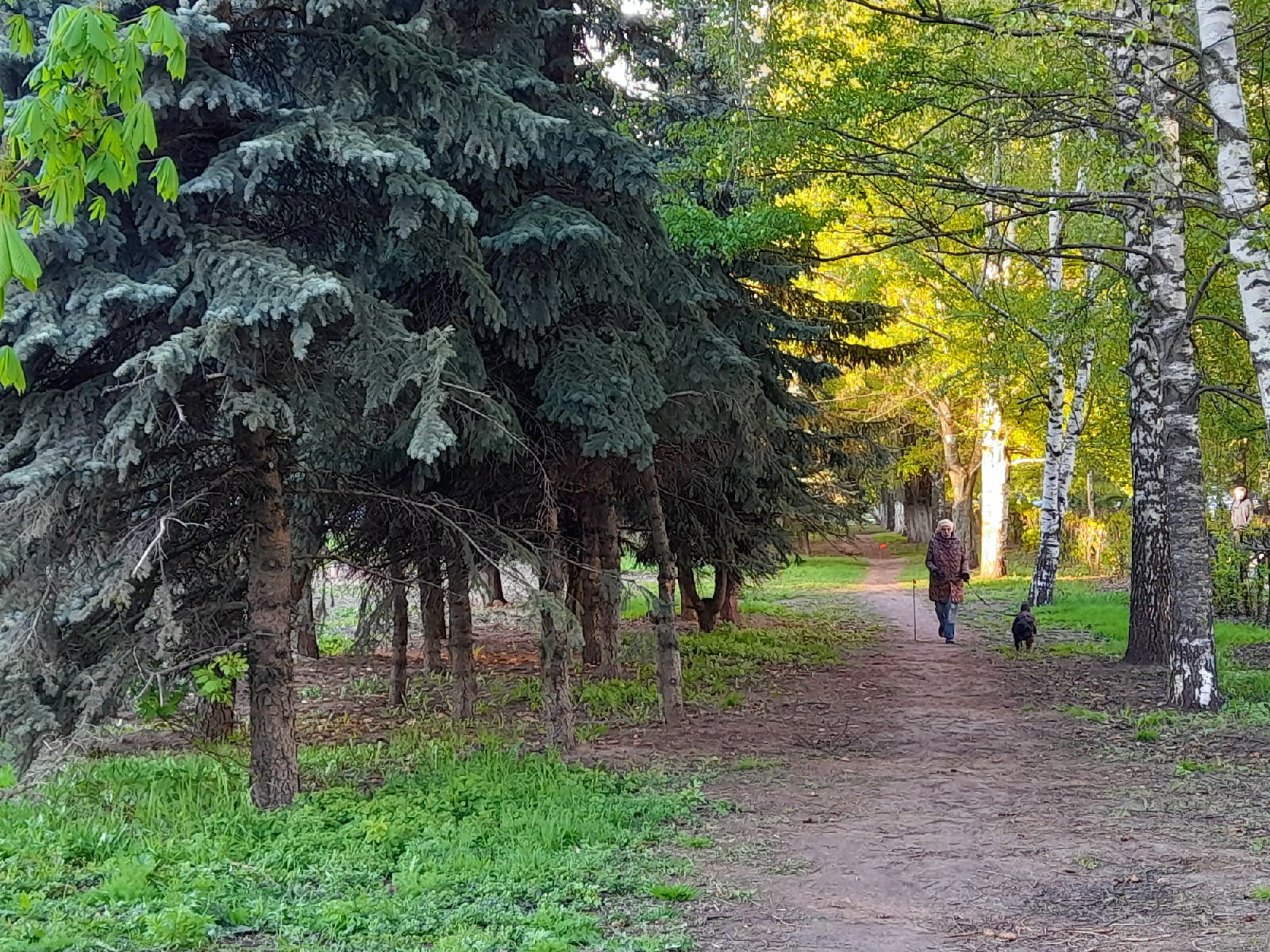Площадь Жукова и близлежащие скверы — излюбленные места местных жителей для прогулок